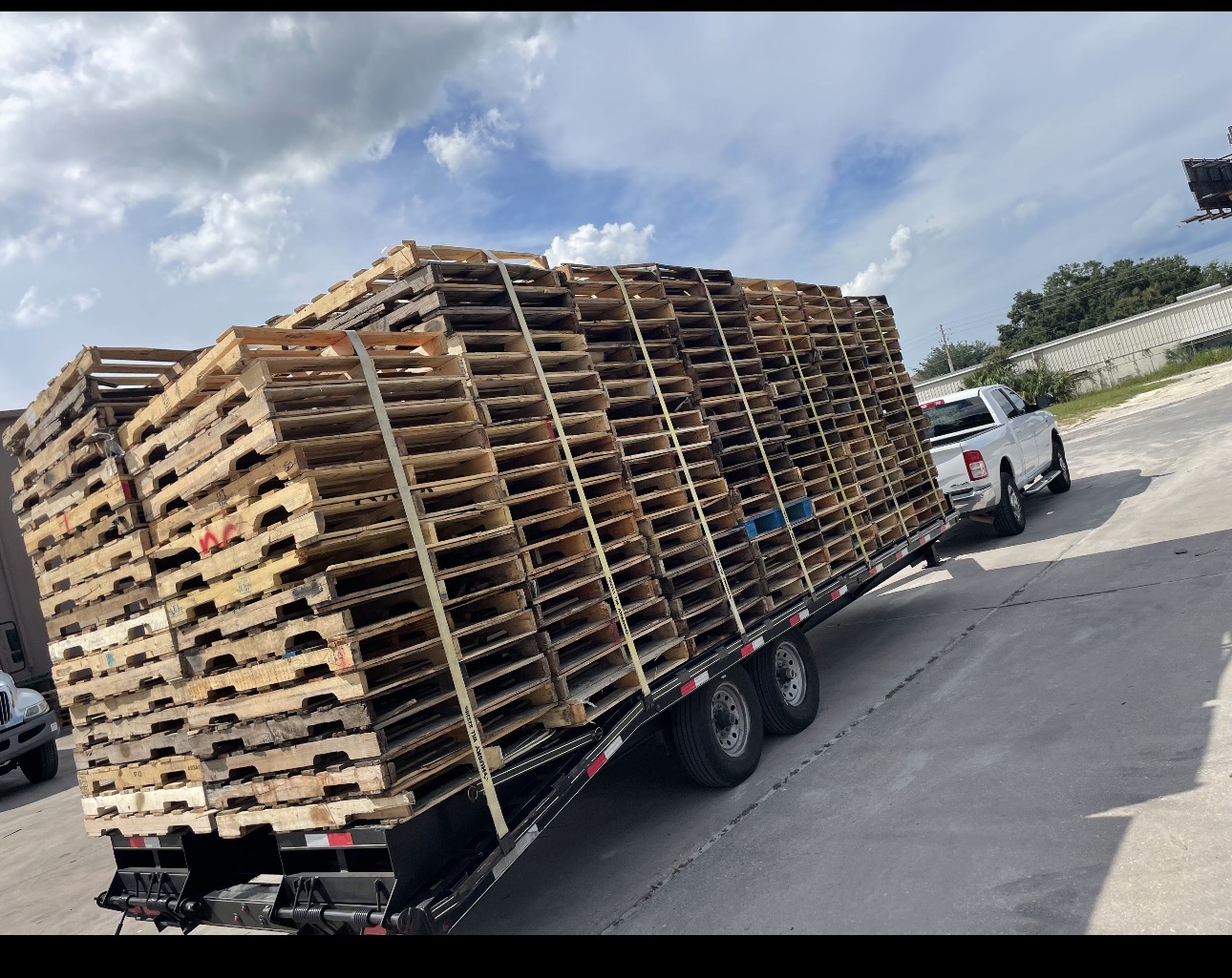 Grade B Pallets - Citra, FL 32113