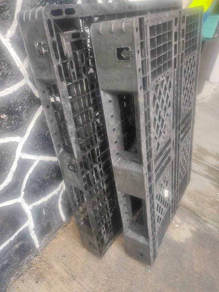 Used Plastic International Shipping Pallets - North Tonawanda NY 14120