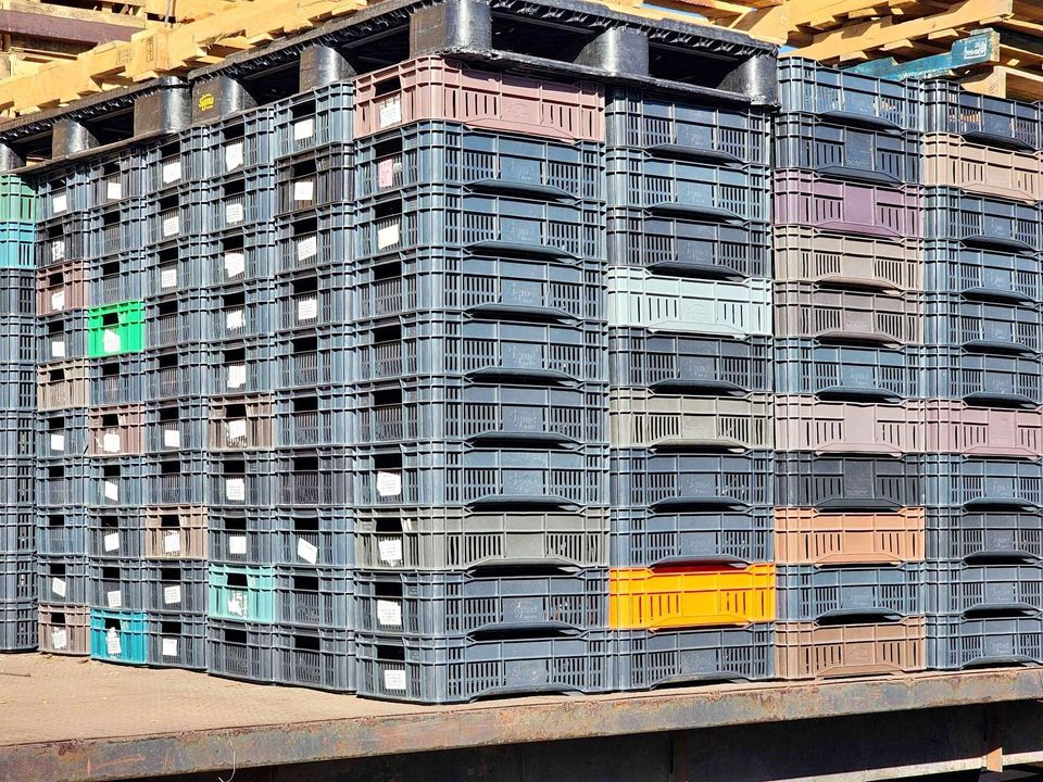 Used Produce Crates - Hammond IN 46324